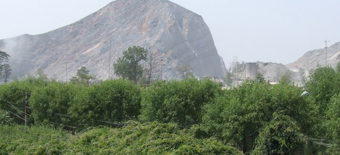 秦皇島武山實業集團
